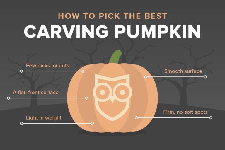 Choose a smooth, firm pumpkin with a flat base for easier carving.